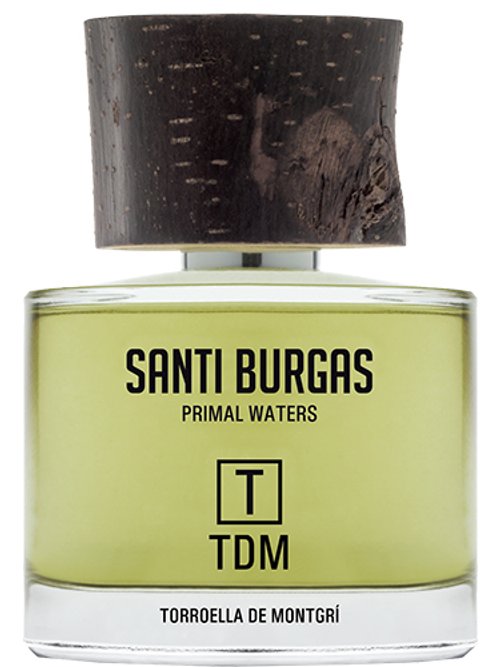 T Tdm by Santi Burgas