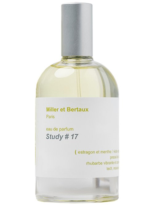 Study #17 by Miller Et Bertaux
