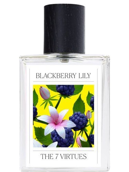 Blackberry Lily by The 7 Virtues