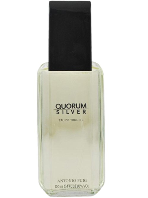 Quorum Silver by Puig