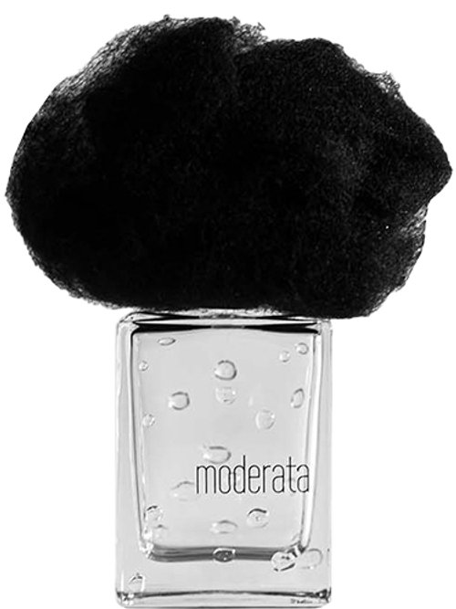 Pioggia_Moderata by Filippo Sorcinelli