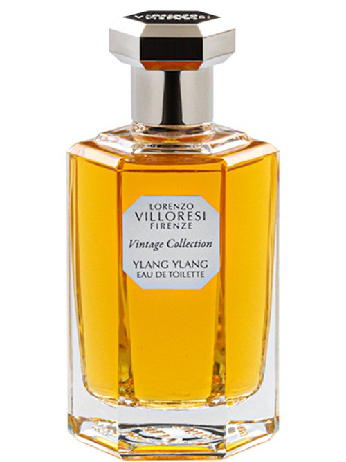 Ylang Ylang by Lorenzo Villoresi