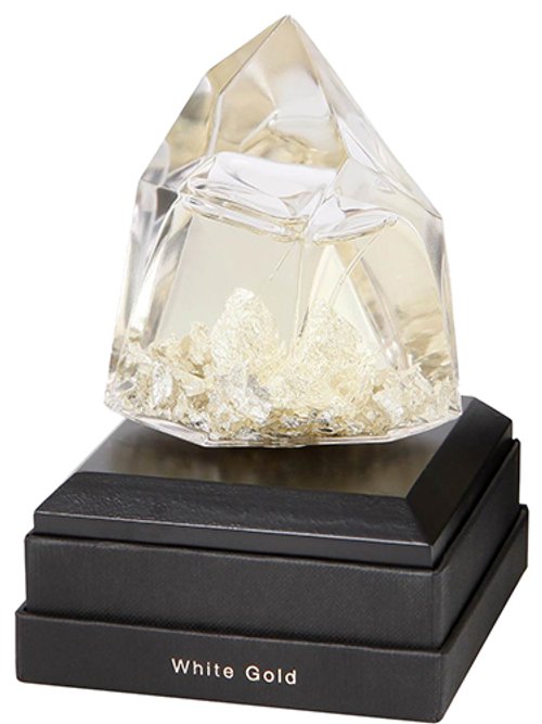 Pure White Goldskin by Ramon Molvizar