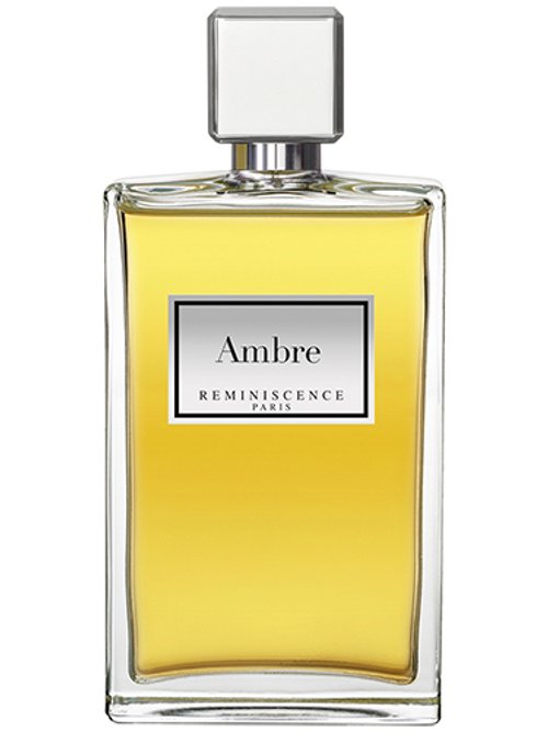 Ambre by Reminiscence