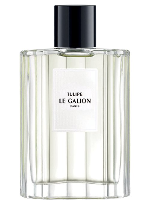 Tulipe by Le Galion
