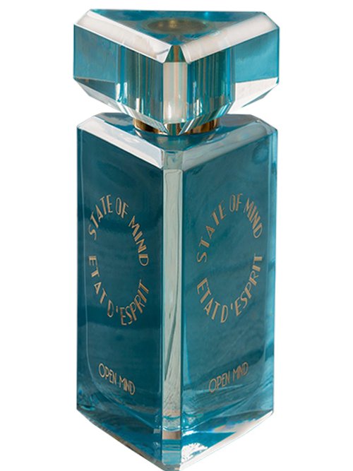 Open Mind by State Of Mind