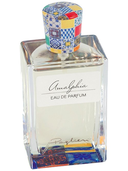 Amalphia by Paglieri 1876