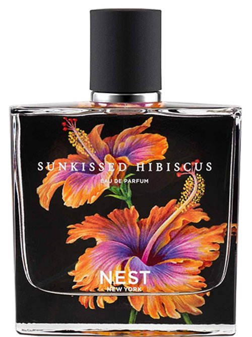 Sunkissed Hibiscus by Nest