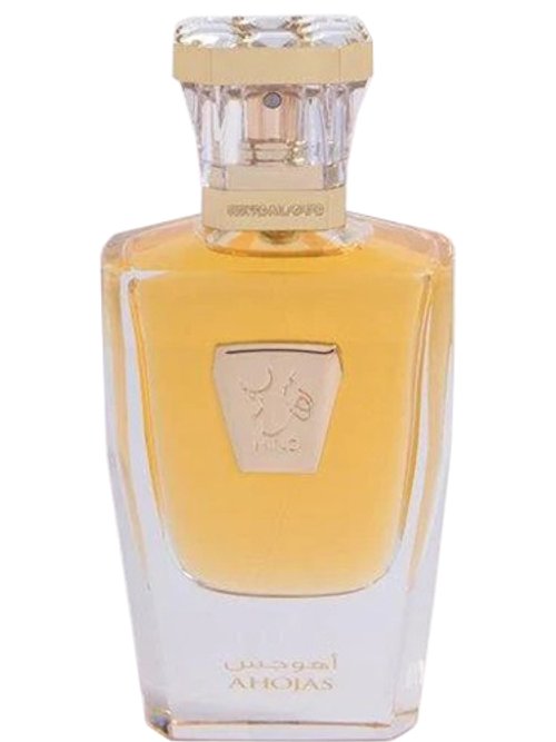 Ahojas by Hind Al Oud