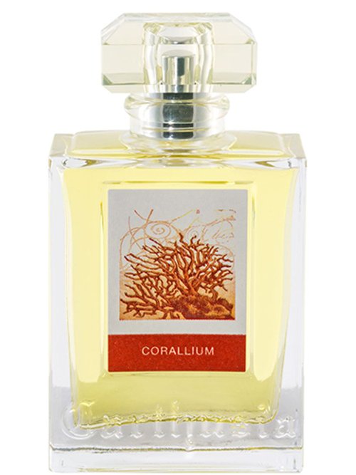 Corallium by Carthusia