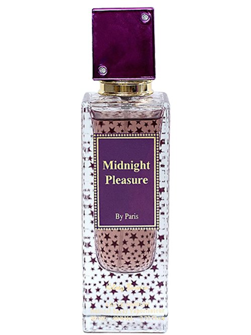 Midnight Pleasure by Kelsey Berwin