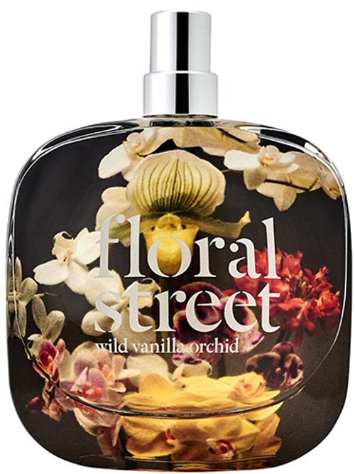Wild Vanilla Orchid by Floral Street