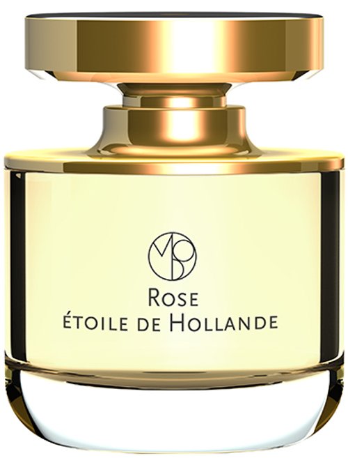 Rose Étoile De Hollande by Mona Di Orio