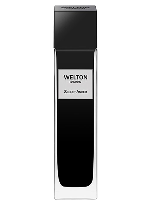 Secret Amber Eau De Parfum by Welton London