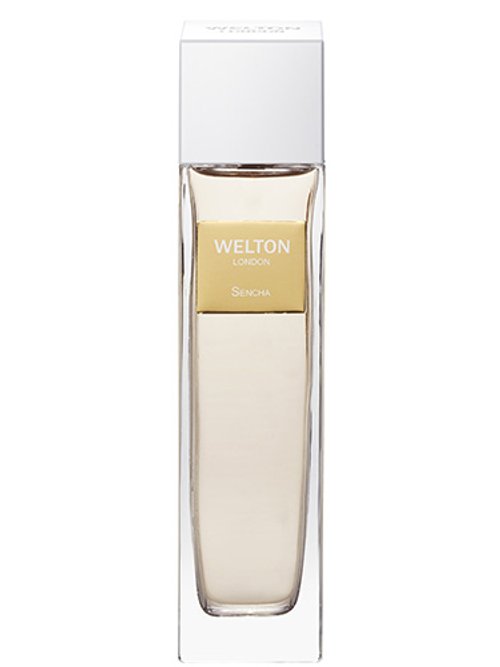 Sencha by Welton London