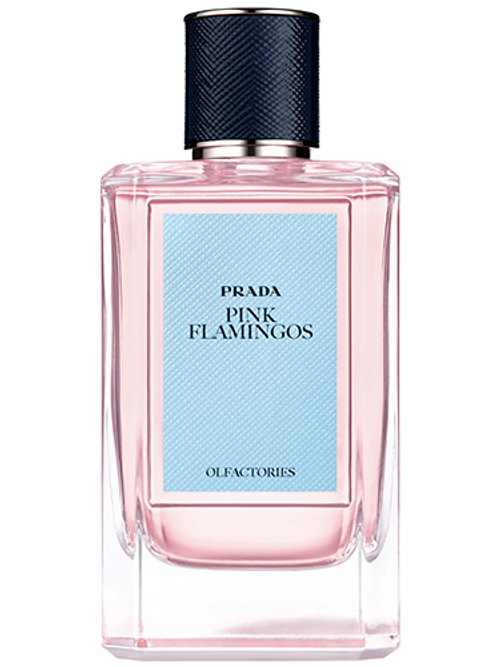 Pink Flamingos by Prada