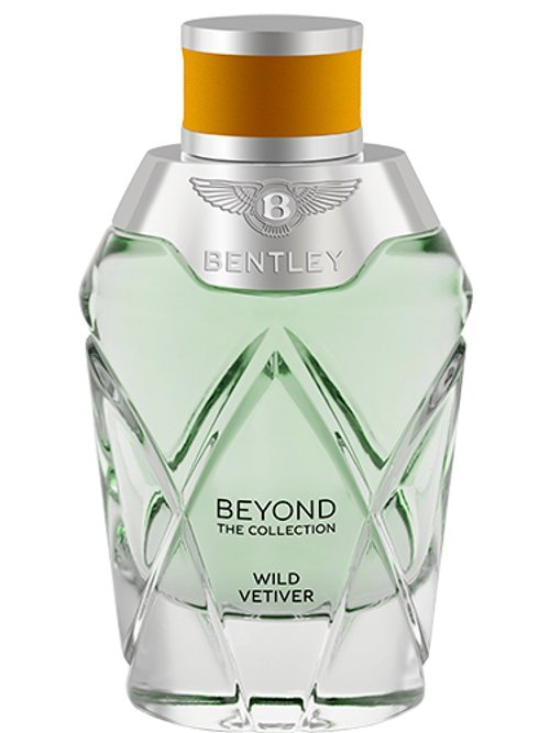 Beyond Wild Vetiver by Bentley