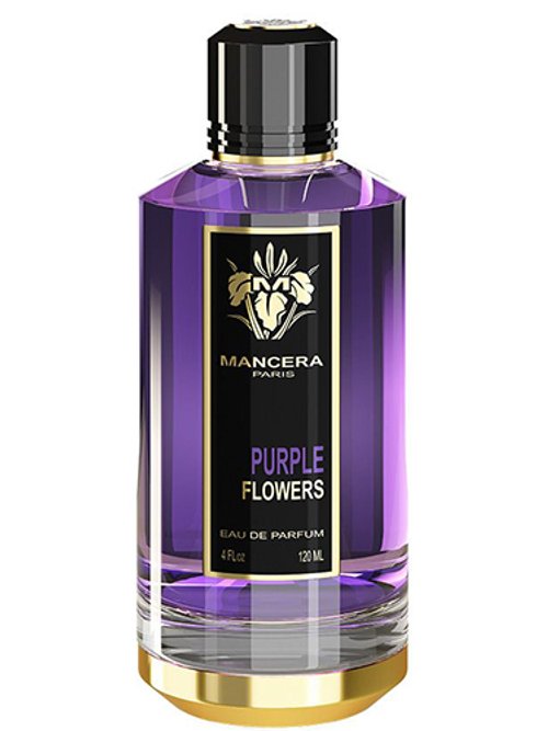 Purple Flowers by Mancera