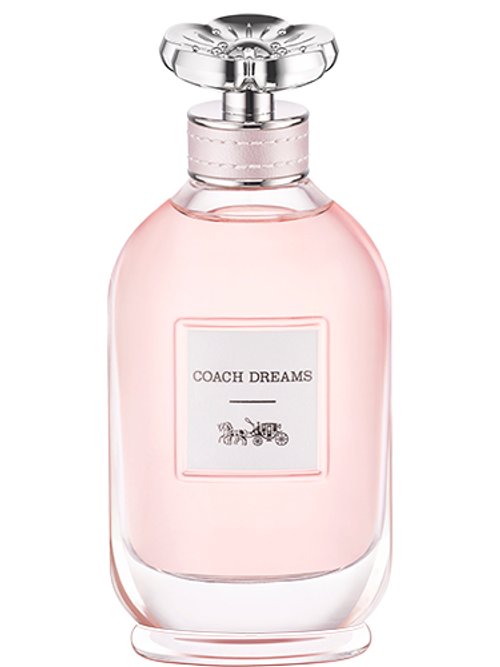 Coach Dreams by Coach