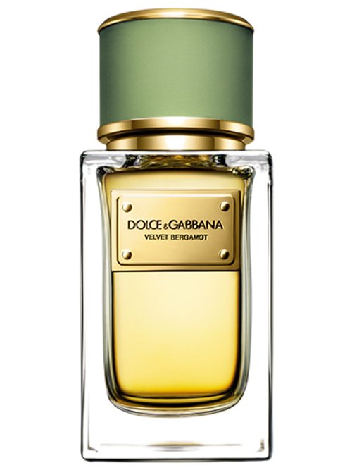 Velvet Bergamot by Dolce & Gabbana