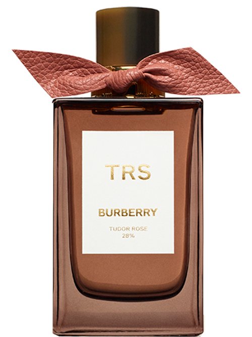 Tudor Rose by Burberry