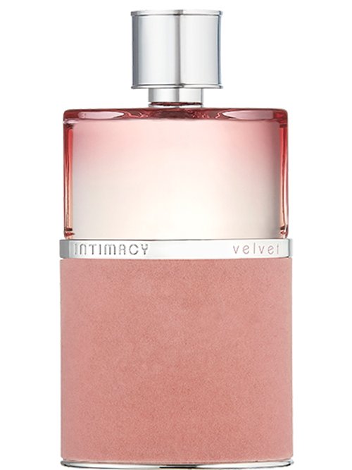 Intimacy Velvet by Intimacy