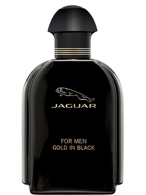 Jaguar Gold In Black For Men by Jaguar