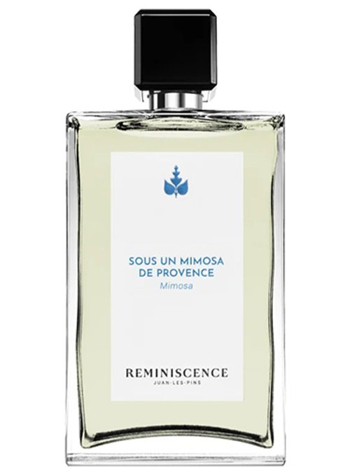 Sous Un Mimosa De Provence by Reminiscence