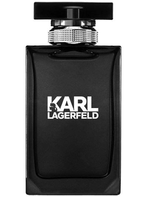 Karl Lagerfeld Pour Homme by Karl Lagerfeld