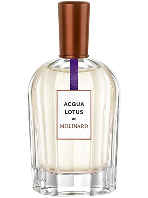 Acqua Lotus by Molinard