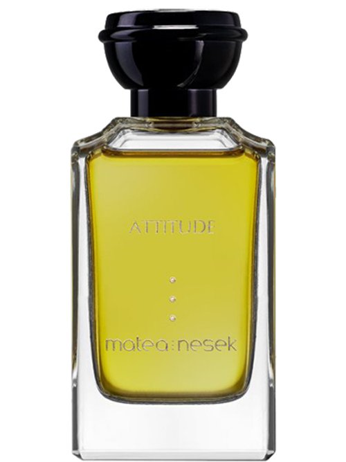 Attitude by Matea Nesek