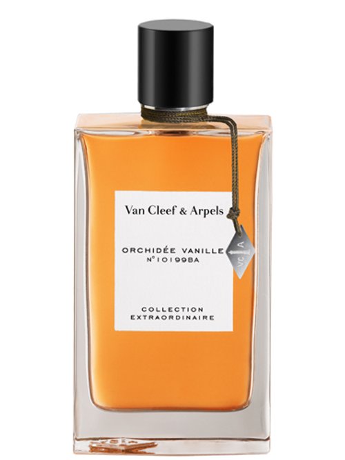 Orchidée Vanille by Van Cleef & Arpels