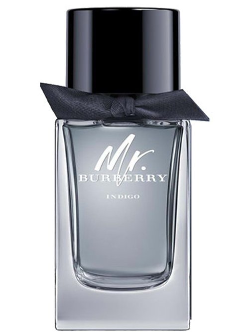 Mr. Burberry Indigo by Burberry