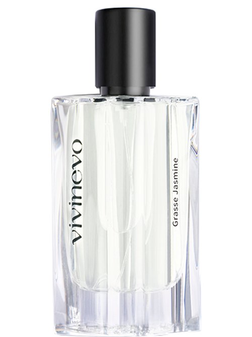 Grasse Jasmine by Vivinevo