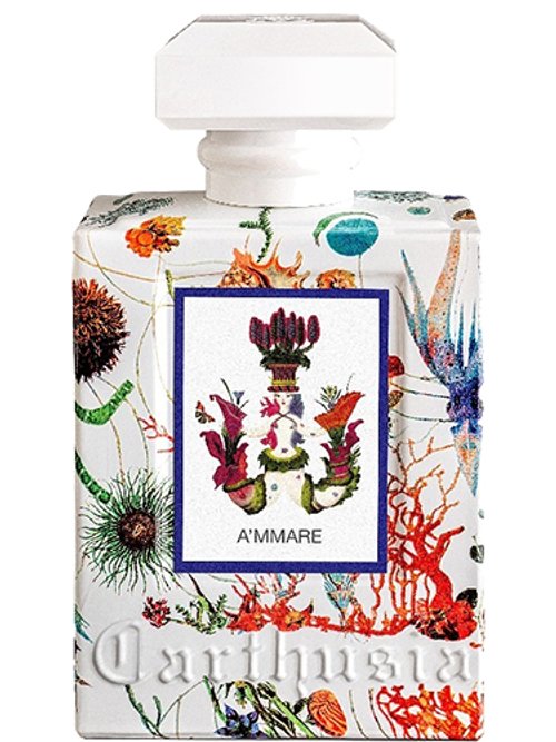 A'Mmare by Carthusia