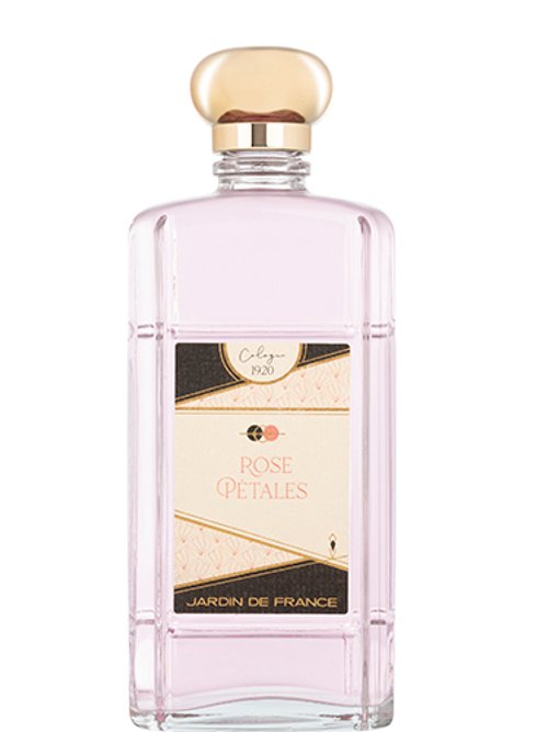 Rose Pétales by Jardin De France