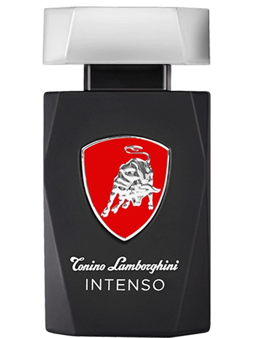 Intenso by Tonino Lamborghini