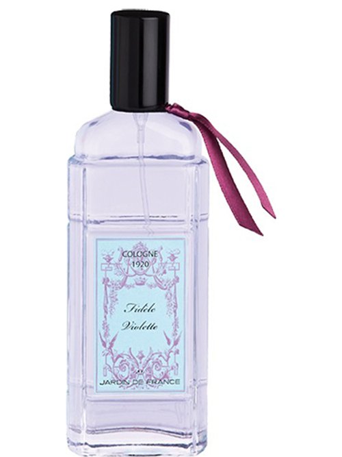 Fidèle Violette by Jardin De France