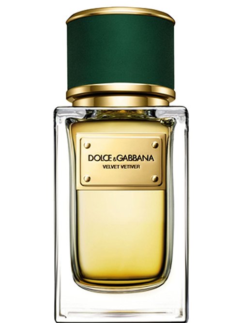 Velvet Vetiver by Dolce & Gabbana