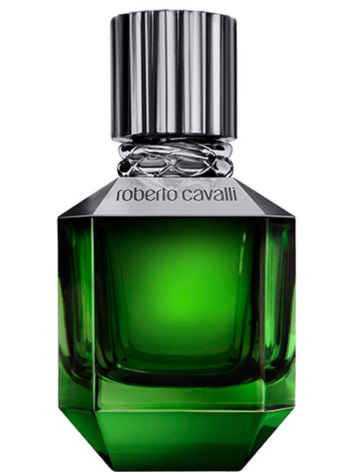 Paradise Found For Him by Roberto Cavalli