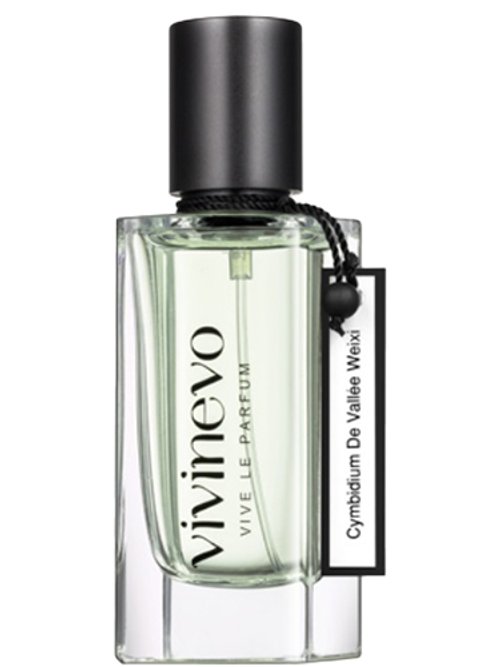 Cymbidium De Vallée Weixi by Vivinevo