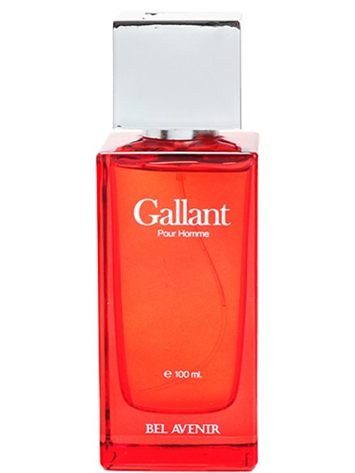 Gallant by Bel Avenir