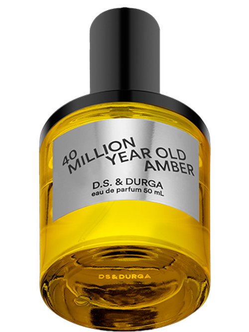 40 Million Year Old Amber by D.S. & Durga