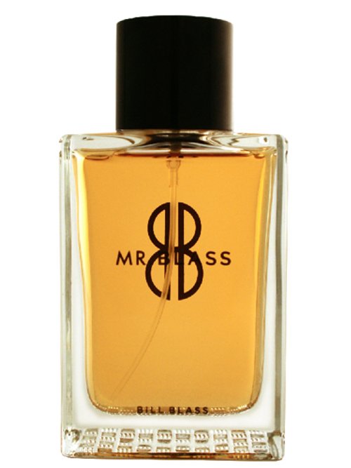 Mr. Blass by Bill Blass