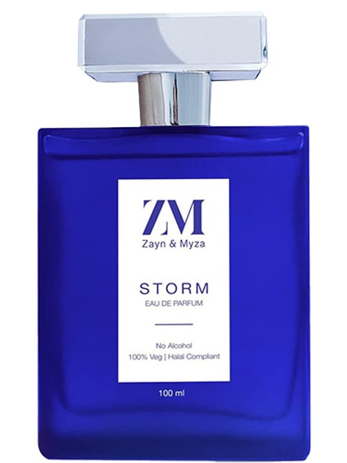 Storm by Zayn & Myza