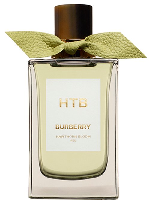 Hawthorn Bloom by Burberry