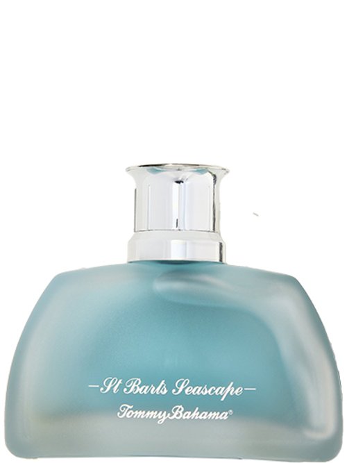 St Barts Seascape Men by Tommy Bahama