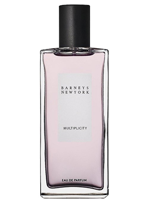 Multiplicity by Barneys New York