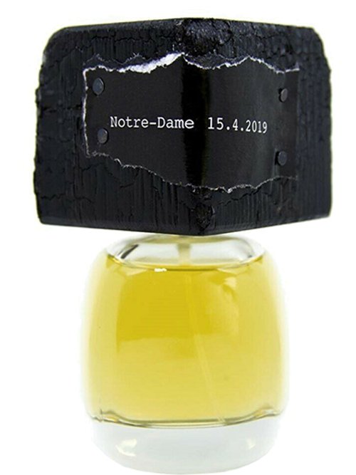 Notre-Dame 15.4.2019 by Filippo Sorcinelli