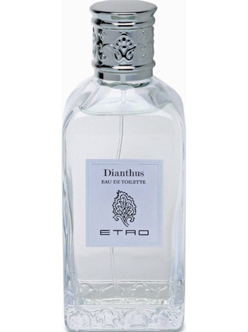 Dianthus by Etro
